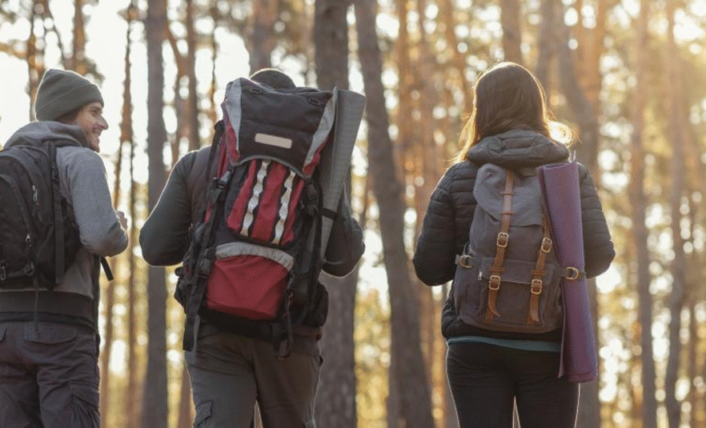 Difference Between Tourist