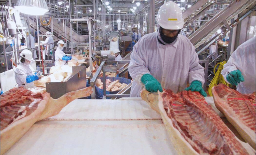 Romania Meat Packing Jobs