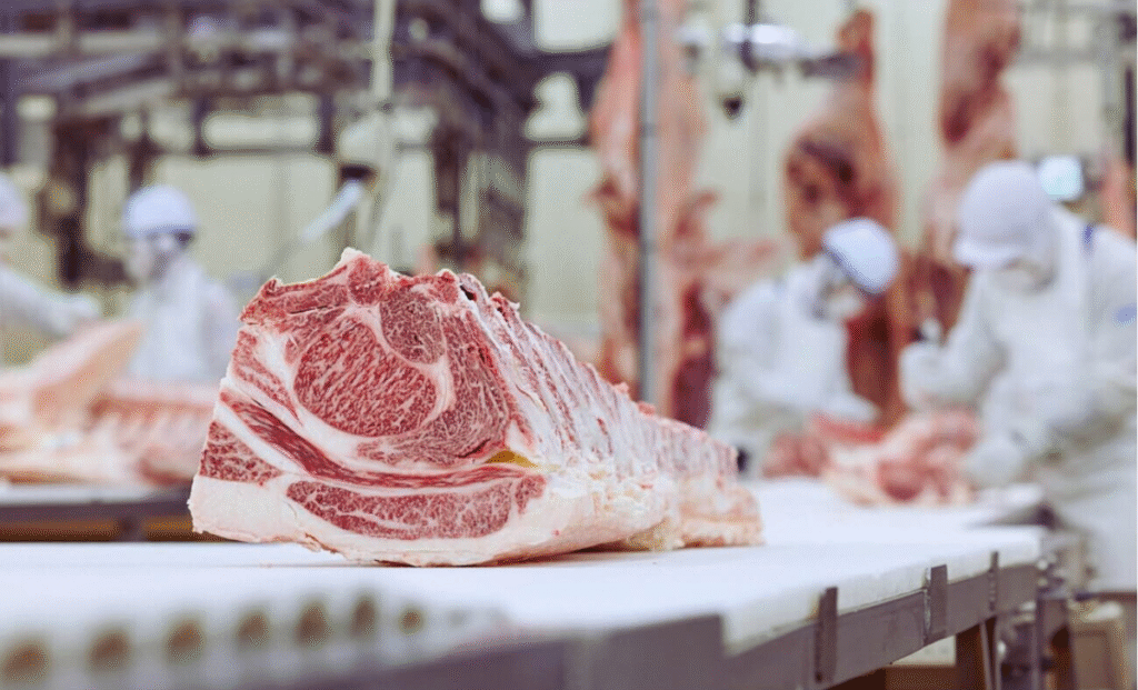 Romania Meat Packing Jobs