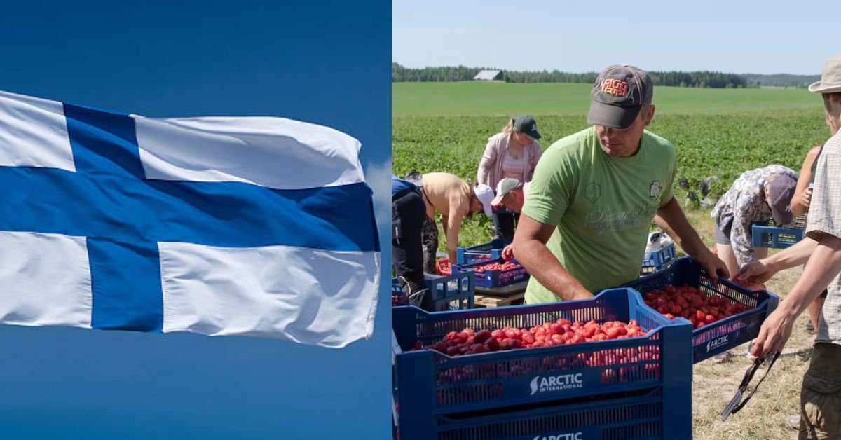 Agriculture Careers In Finland for Foreign Applicants