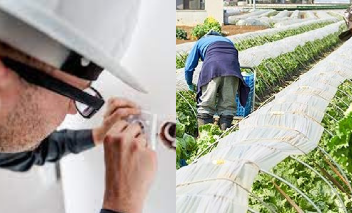 Italy Farm & Factory Jobs