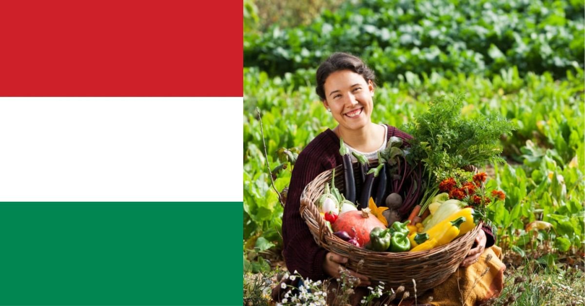 Hungary Agriculture Visa Jobs – Apply Guide